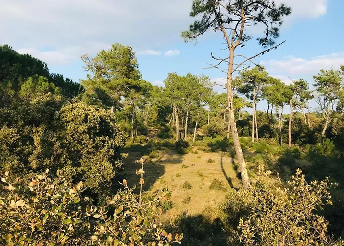 Les Sables D'or, Vue Ocean Lägenhet Saint-Jean-de-Monts