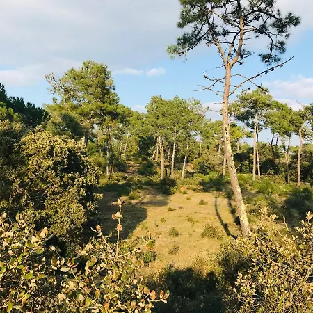 Les Sables D'or, Vue Océan Appartamento Saint-Jean-de-Monts